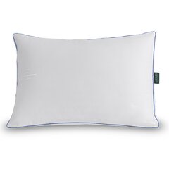 Ralph lauren discount pillows 2 pack